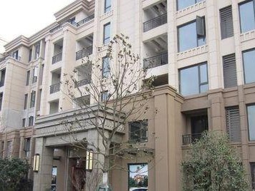 以爱吉屋房产为主题的详细解析（了解爱吉屋房产的特点和服务）