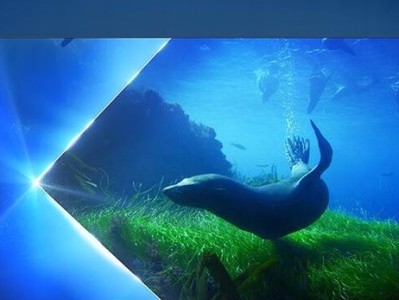 55寸飞利浦电视体验报告（高清画质，智能互联，乐享影音盛宴）