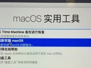 苹果笔记本如何通过光盘安装系统（详细教程帮助您轻松完成苹果笔记本系统安装）