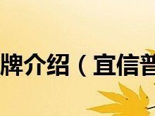 宜信宜定盈（打造财富增值的首选理财产品）