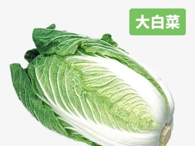 大白菜iso装机教程