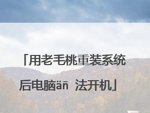 老毛桃系统U盘启动盘制作教程（详细步骤让你轻松制作老毛桃系统U盘启动盘）