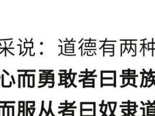 奇点资本（性投资策略与全球科技合作的推动力）