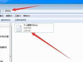 系统文件删除恢复的方法与技巧（教你如何恢复被删除的系统文件，保护你的数据安全）