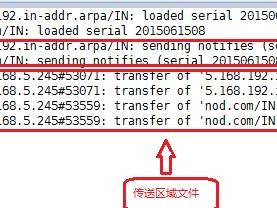DNS更改后会带来怎样的影响？（探究DNS更改对网络连接和访问速度的关键影响）
