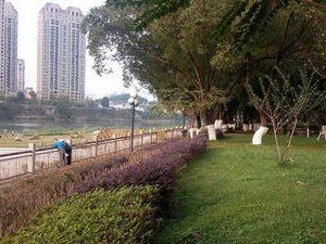 乐视1s拍照怎么样？（一部性价比高的拍照手机）