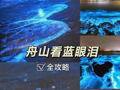 IDE5019量产教程（一步步教你掌握IDE5019的量产技巧）