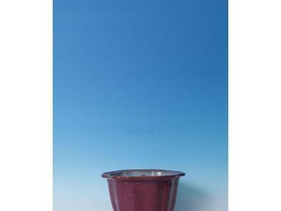 万融时代（拥抱科技，助力个人和企业实现财富增长）