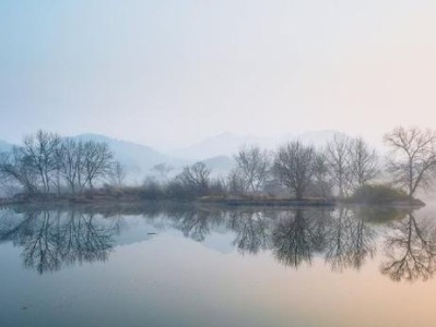 以实达WP70为主题的全面评估与推荐（探索实达WP70的功能、性能和用户体验，为您提供最佳购买建议）