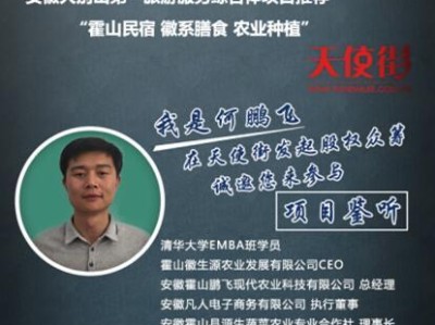 天使街项目（发展教育、提供机会、凝聚社区力量，重塑天使街）